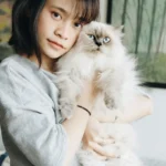 How to Take Care of a Cat for Beginners: 12 Essentials
