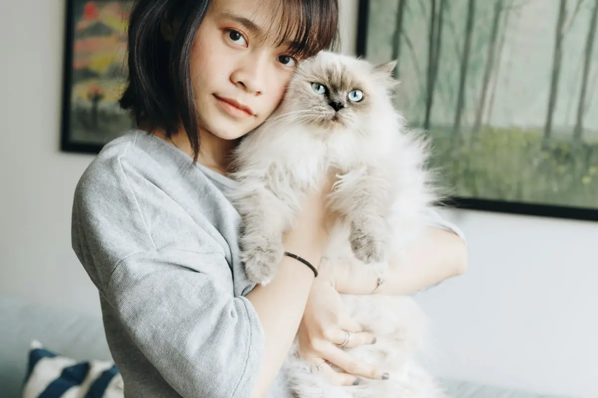 how to take care of a cat for beginners