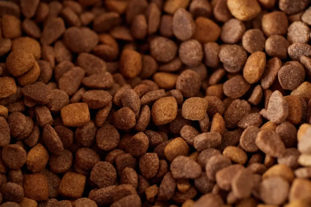 Close-up view of assorted dry cat food pieces for label comparison