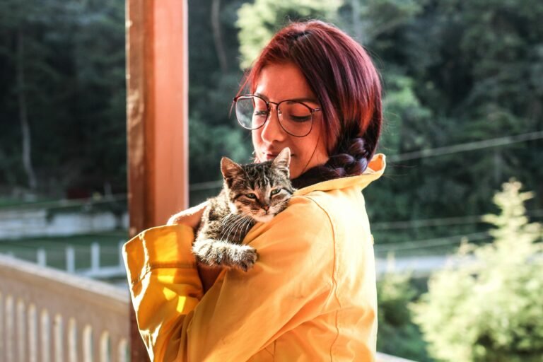 Explore Training Guide cat content