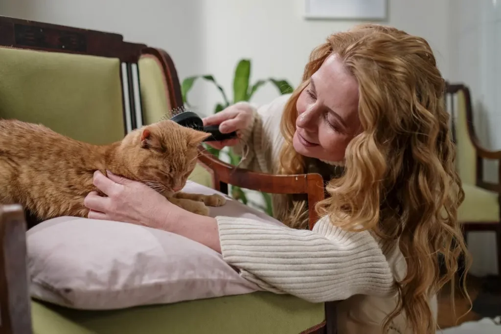 Relaxed ginger cat receiving a gentle brush on an armchair
