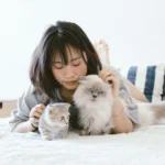Why Does My Cat Meow When I Leave the Room? 8 Real Reasons