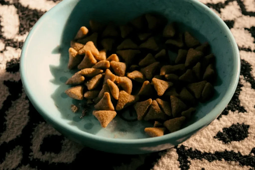 Measured dry cat food in a blue feeding bowl
